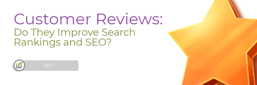 William Jones SEO Review